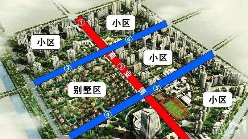 真实开店加盟故事三 夫妻创业另类宠物店加盟