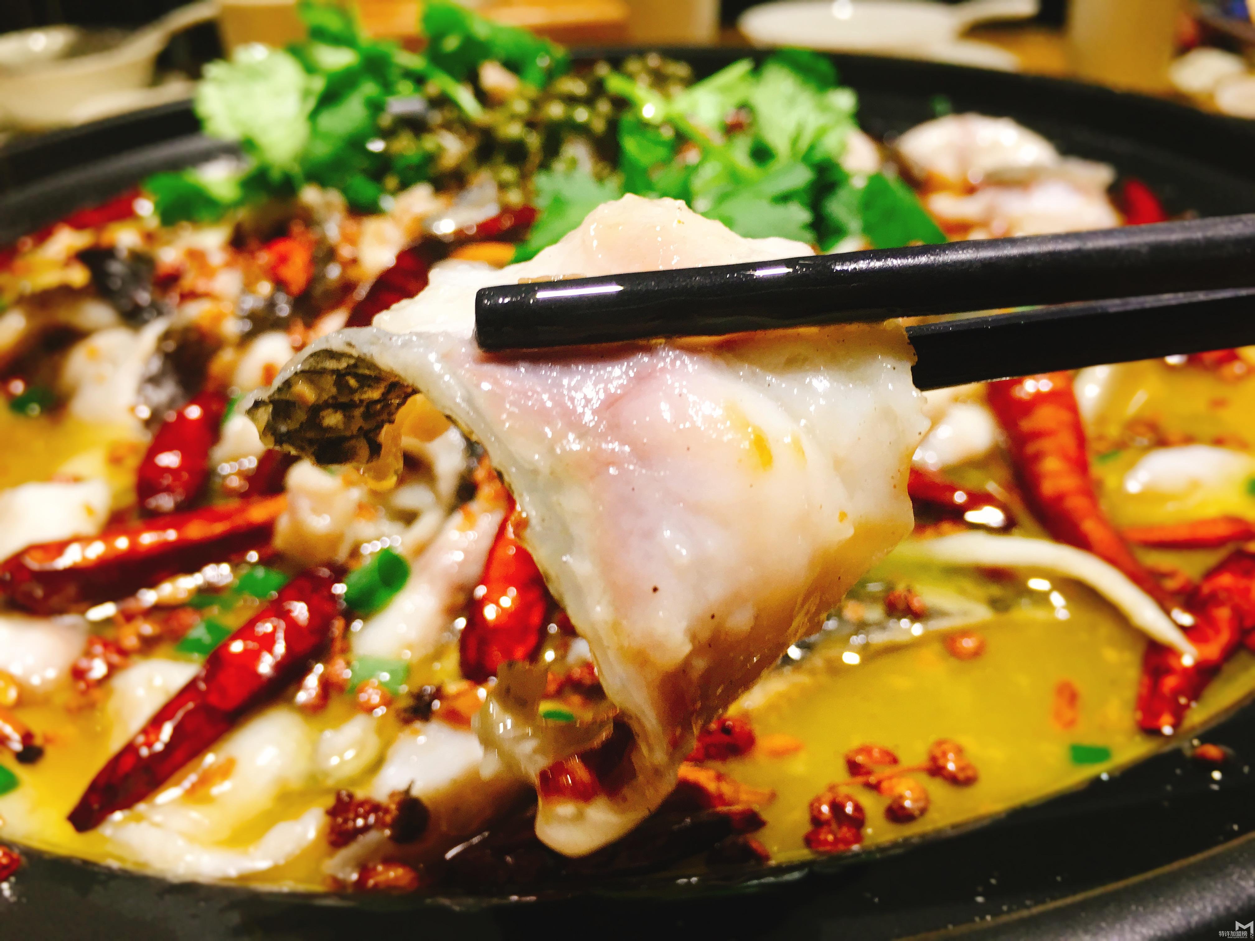 辽宁酸菜鱼开店加盟哪家便宜？