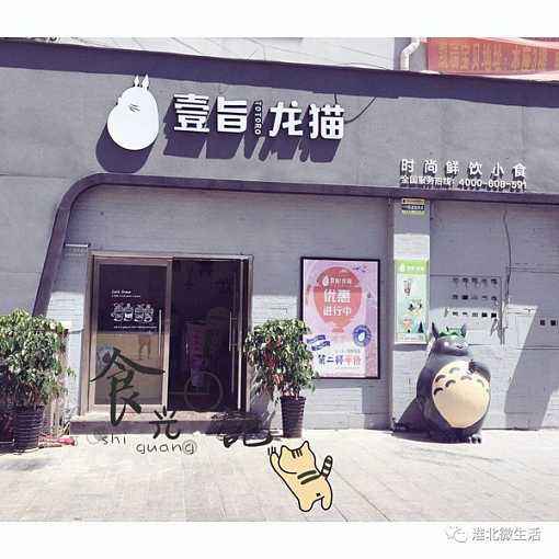 开家壹旨龙猫奶茶加盟店有哪些支持?