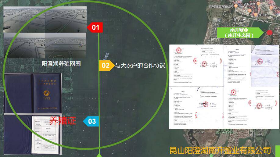 阳澄湖大闸蟹招商加盟省市县级代理批发价格