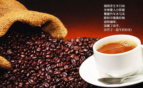 迪欧咖啡加盟费是多少钱