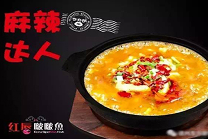 红唇啵啵鱼加盟帮助更多的人成功致富