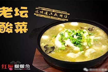 红唇啵啵鱼加盟营养美味好致富