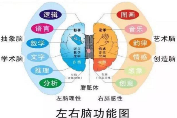 智慧源教育中心如何加盟
