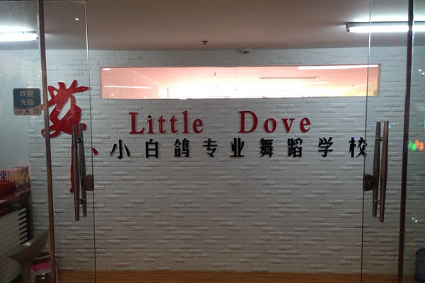 深圳小白鸽舞蹈学校加盟费多少