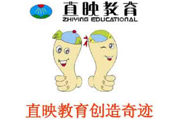 直映教育加盟电话及费用