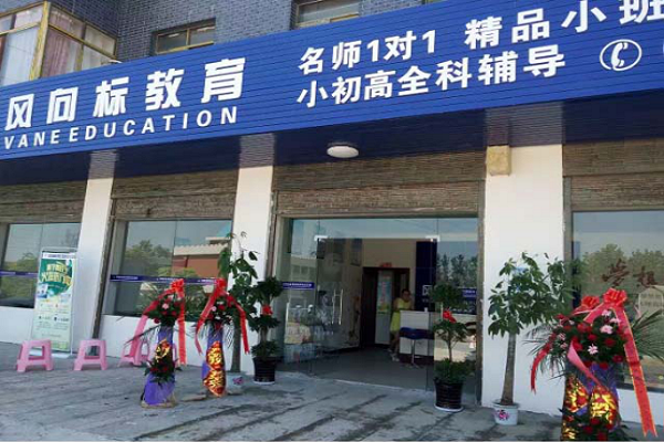 风向标教育加盟费