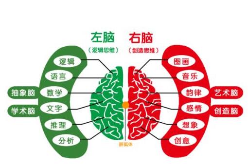 加盟亿多星全脑开发怎么样