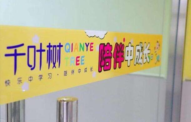 千叶树教育怎么样