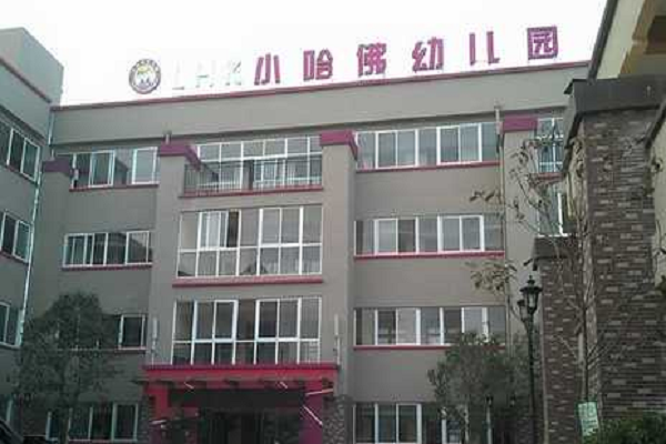 小哈佛加盟费需要多少