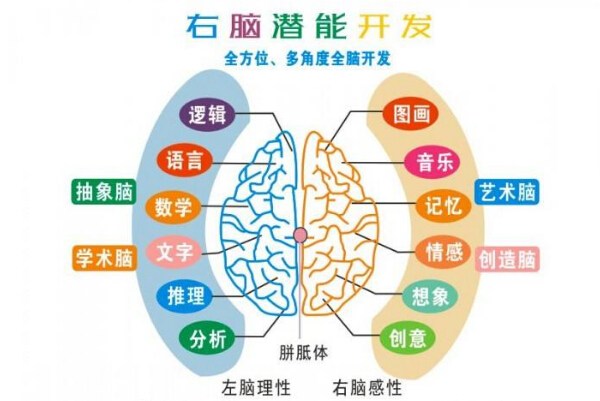 全脑开发加盟大约需要多少钱，前景怎么样
