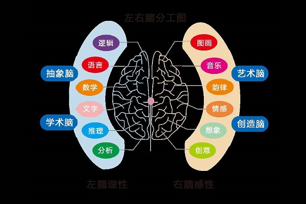 右脑开发有哪些可以加盟