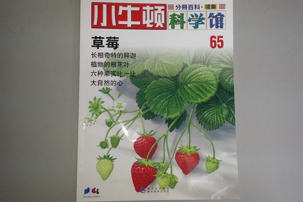 小牛顿科学馆加盟费多少