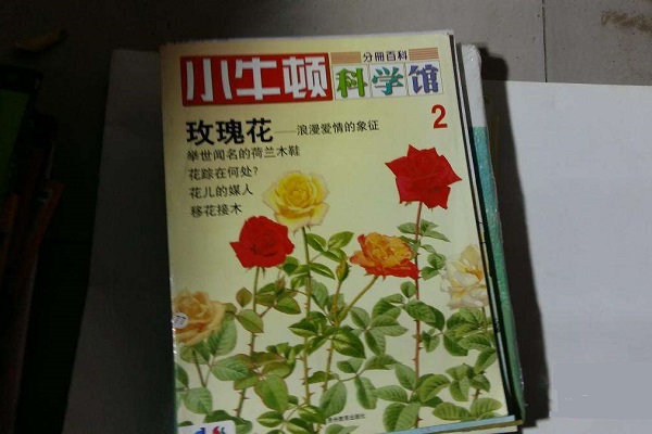 小牛顿科学馆加盟费多少