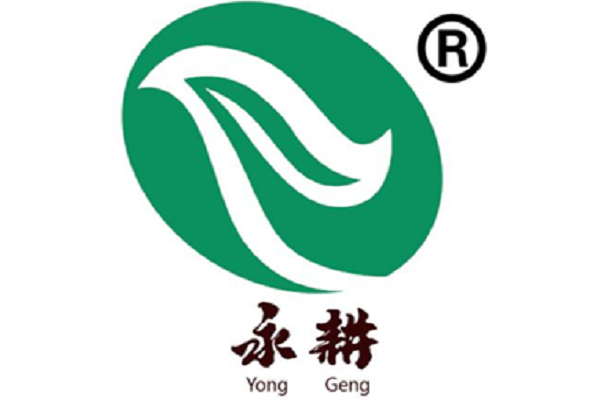 田永耕书法加盟怎么样