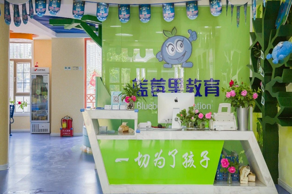 蓝莓果幼小衔接