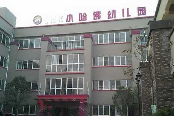 小哈佛双语幼儿园加盟电话