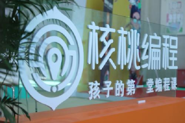 核桃编程加盟怎么样