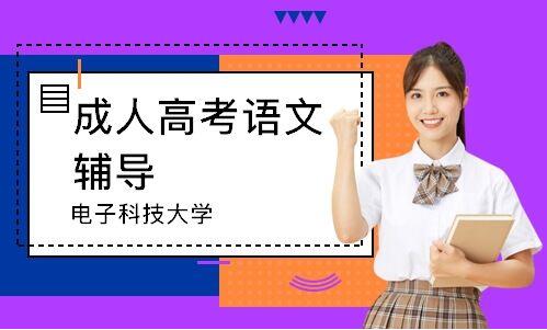 鹏程教育加盟多少钱