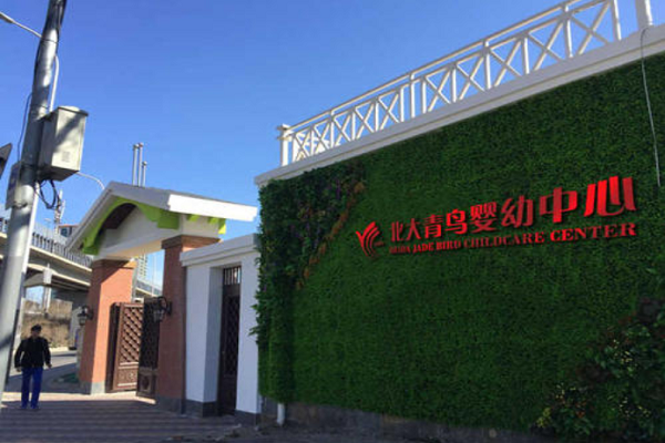 北大青鸟婴幼中心加盟怎么样
