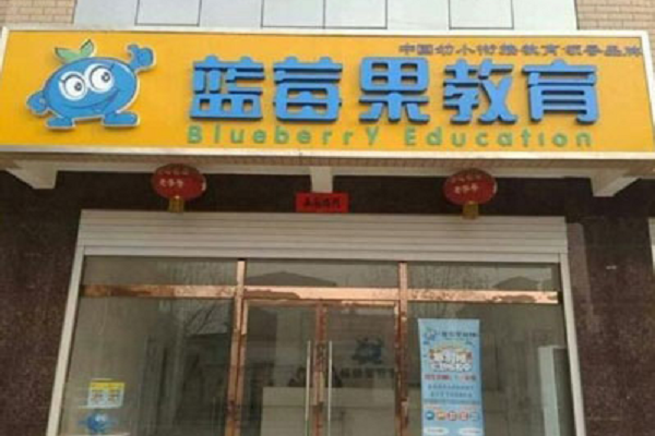 蓝莓果教育加盟费