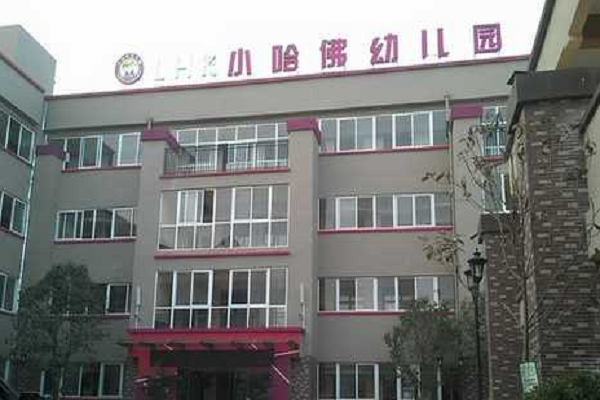 小哈佛双语幼儿园加盟条件
