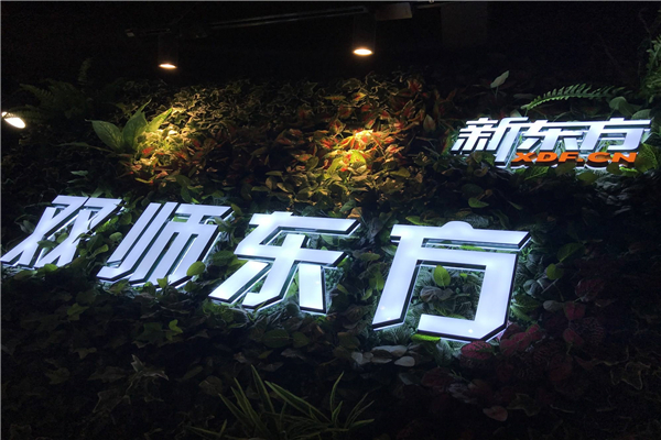 北京双师东方教育加盟怎么样