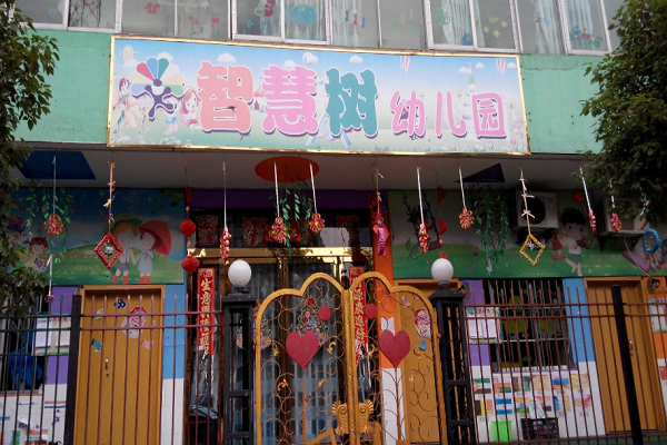智慧树幼儿园加盟手册，要求有哪些