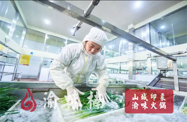 火锅加盟店加盟哪家品牌强？加盟渝味楠生意更红火