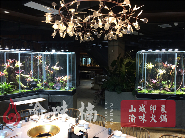 火锅加盟那家好？优质老品牌