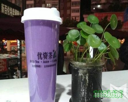 优资茶加盟为什么会这么火？优资茶加盟加盟有