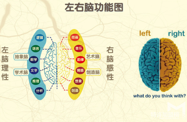 教育加盟什么品牌好，太原全脑开发加盟流程及