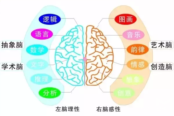 教育加盟什么品牌好，太原全脑开发加盟流程及