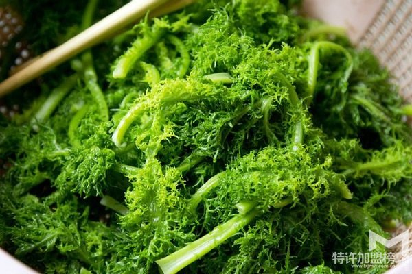 菜老包果蔬怎么加盟
