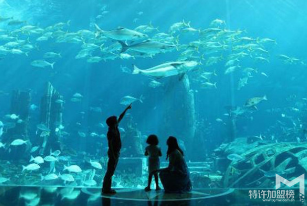 水族店利润有多大 水族店加盟需要多少钱
