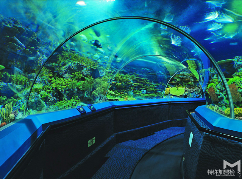 水族店利润有多大 水族店加盟需要多少钱