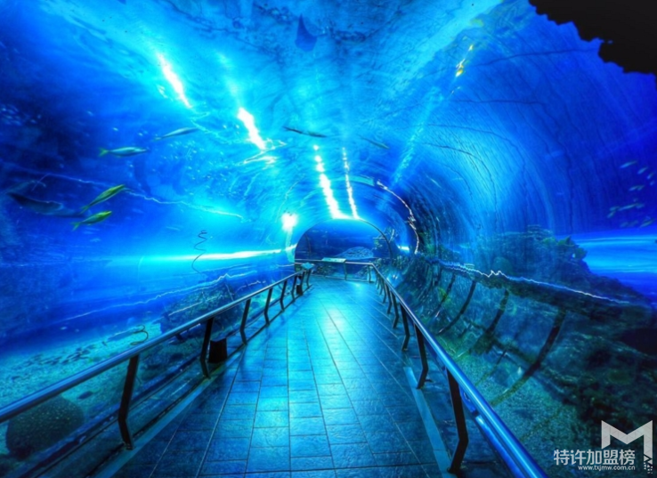 新手开水族店怎么进货