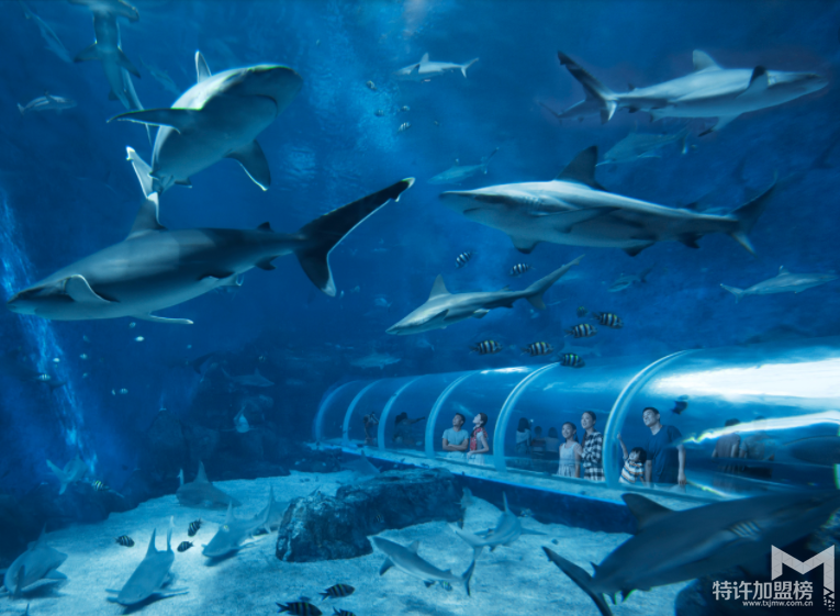 新手开水族店怎么进货