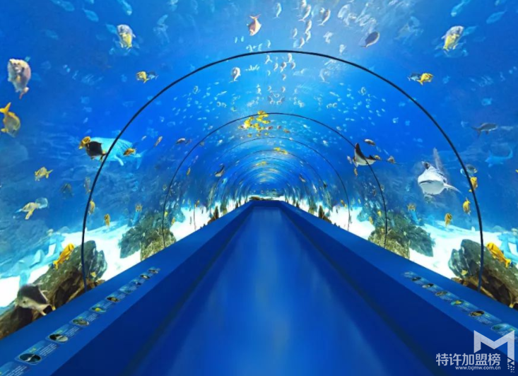 开个水族店要多少钱