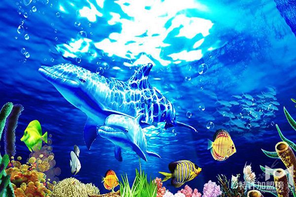 开个水族店要多少钱