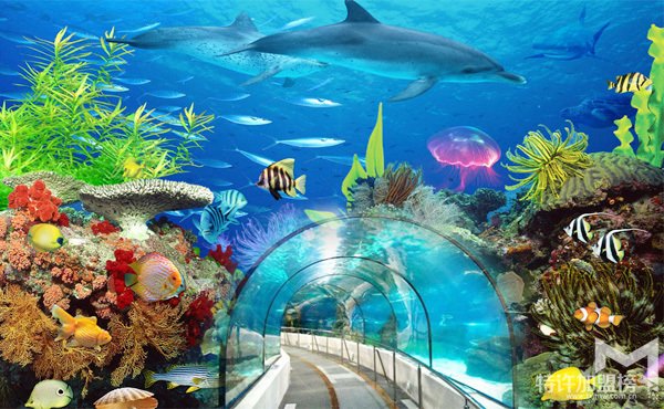 开个水族店要多少钱