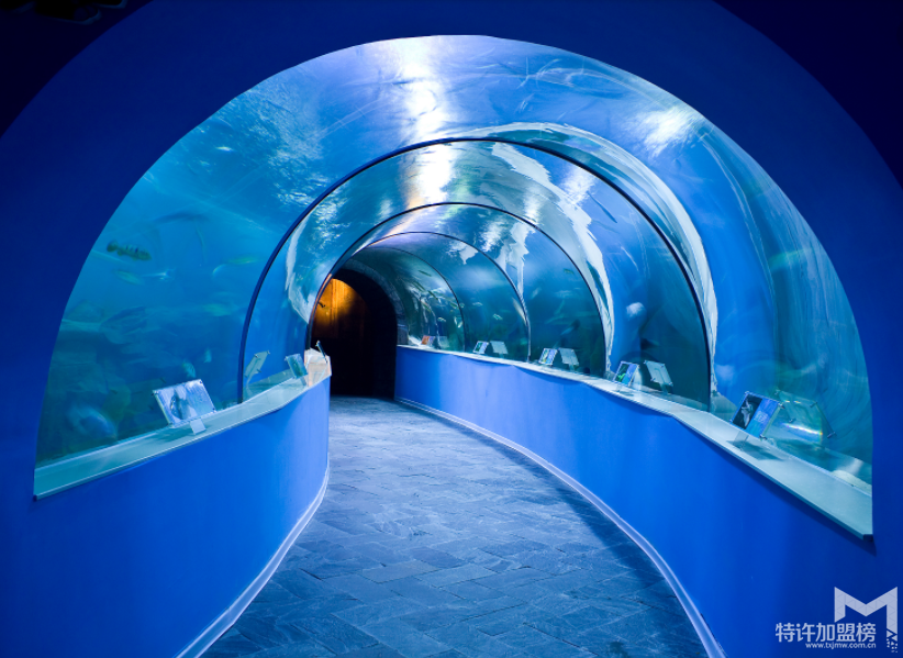 2017水族店利润有多大