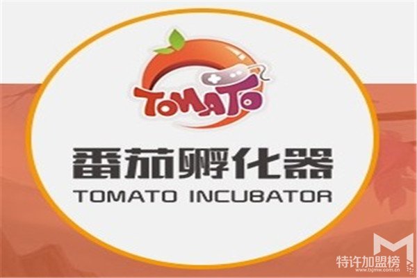 番茄孵化器游戏加盟费多少