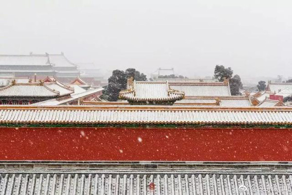 菲尔德国际少儿英语独具一格,雪地教学 记忆深刻